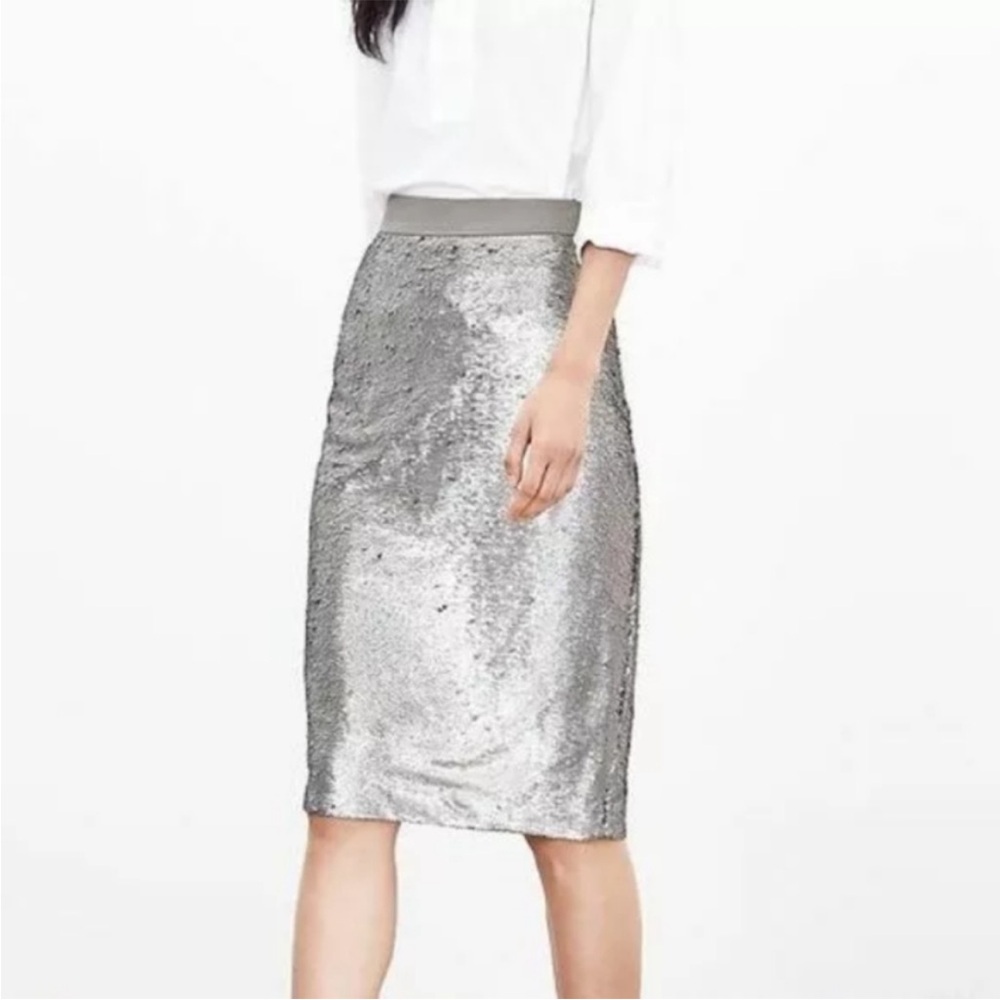 Banana Republic Sequin Pencil Skirt, NWT